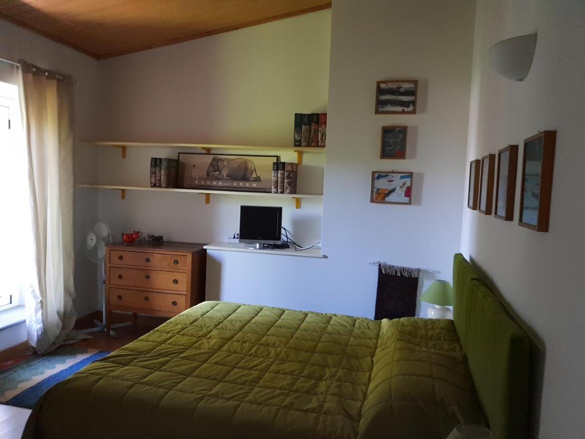 B&B La Cascina Grossa Alexandrie Exteriér fotografie